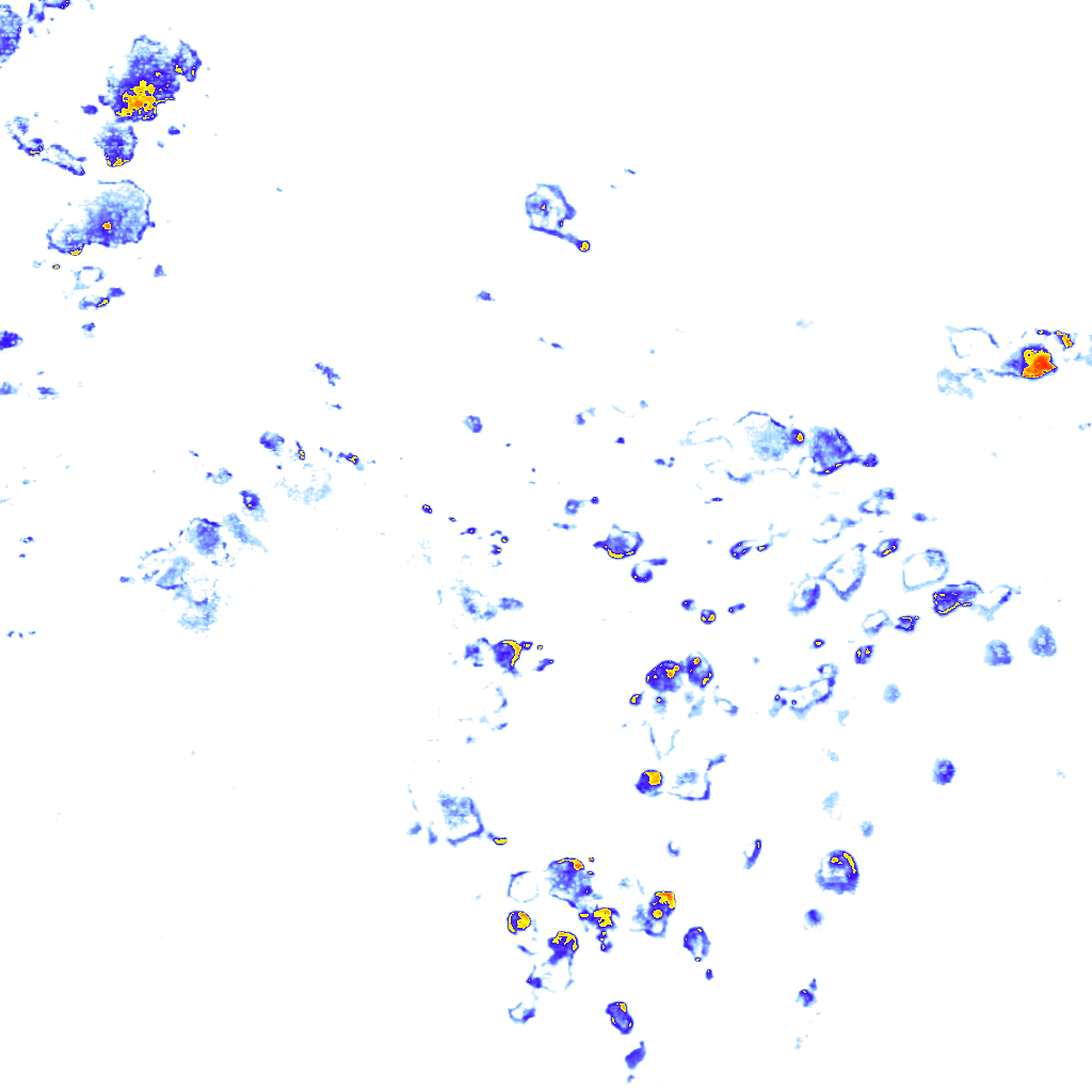 Image Layer