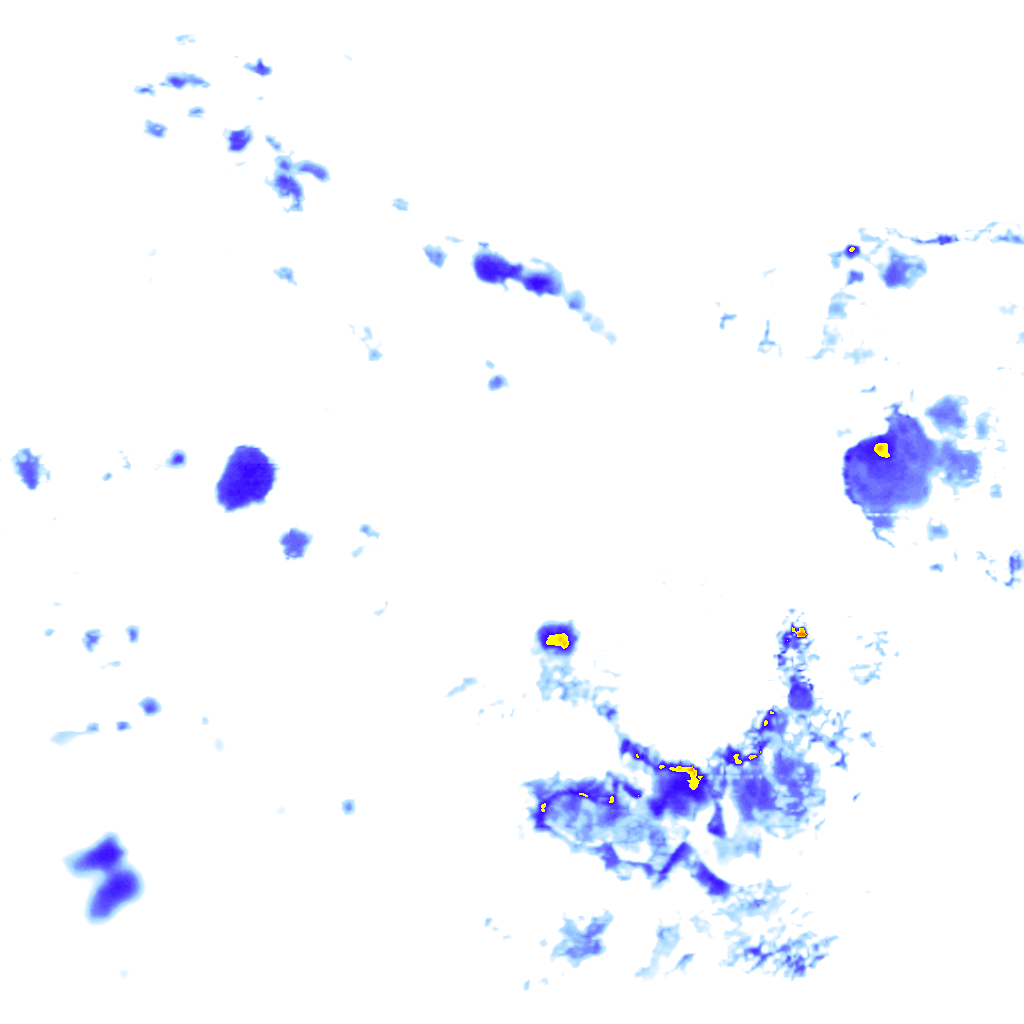 rainLayer