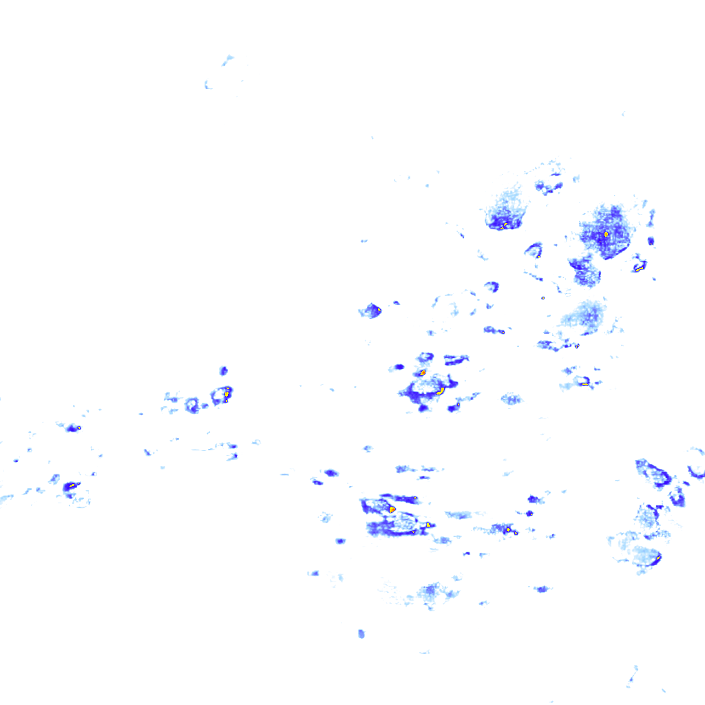 rainLayer