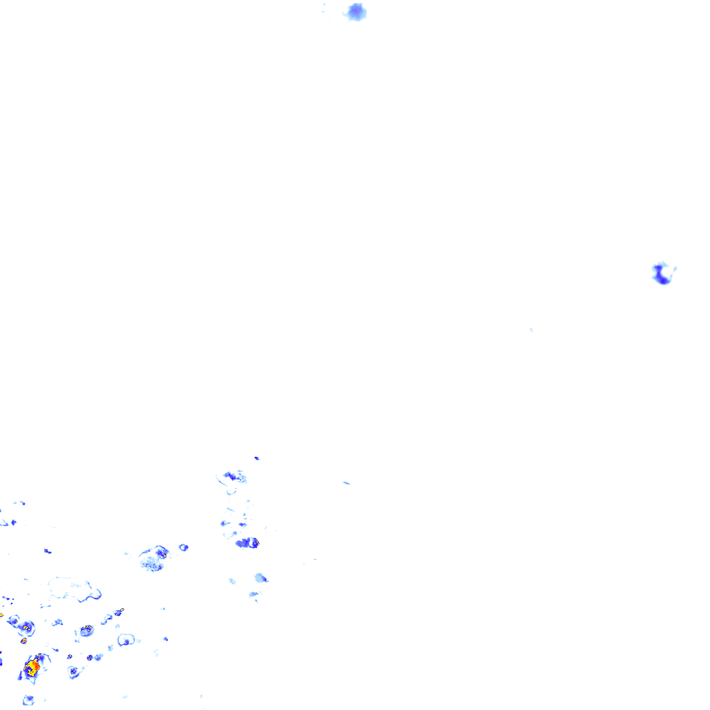 rainLayer