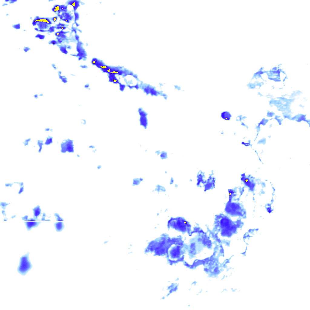 rainLayer