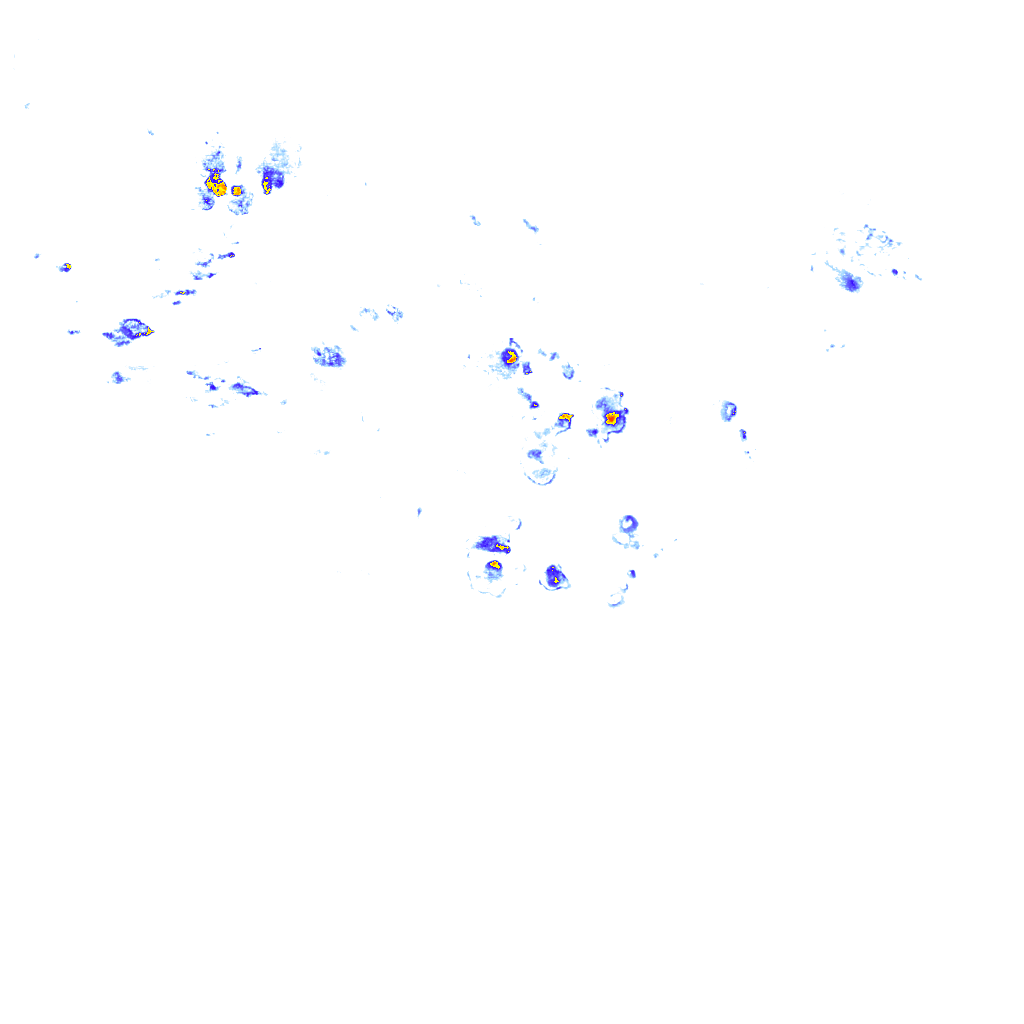 rainLayer