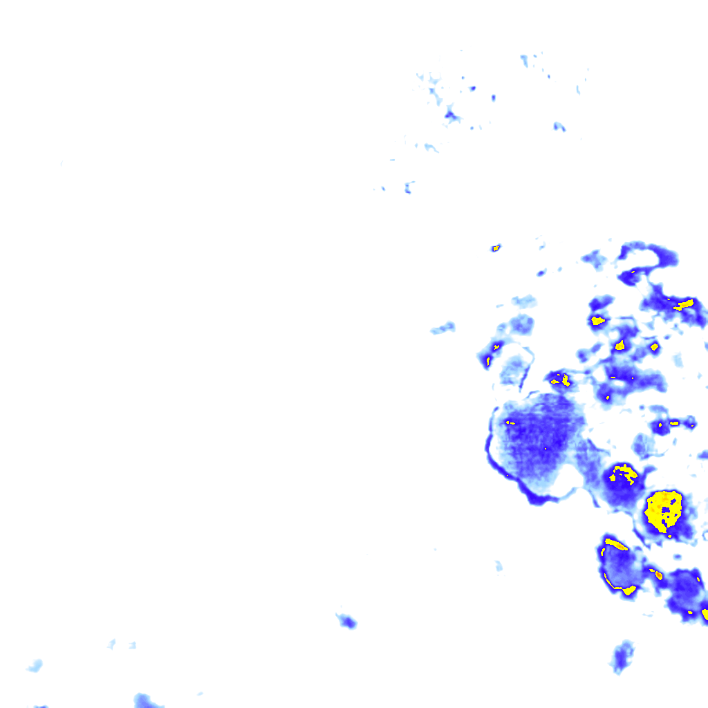 rainLayer