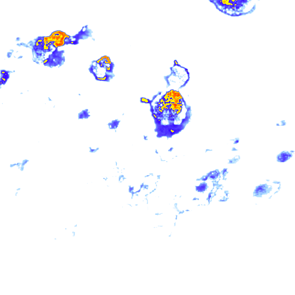 Image Layer