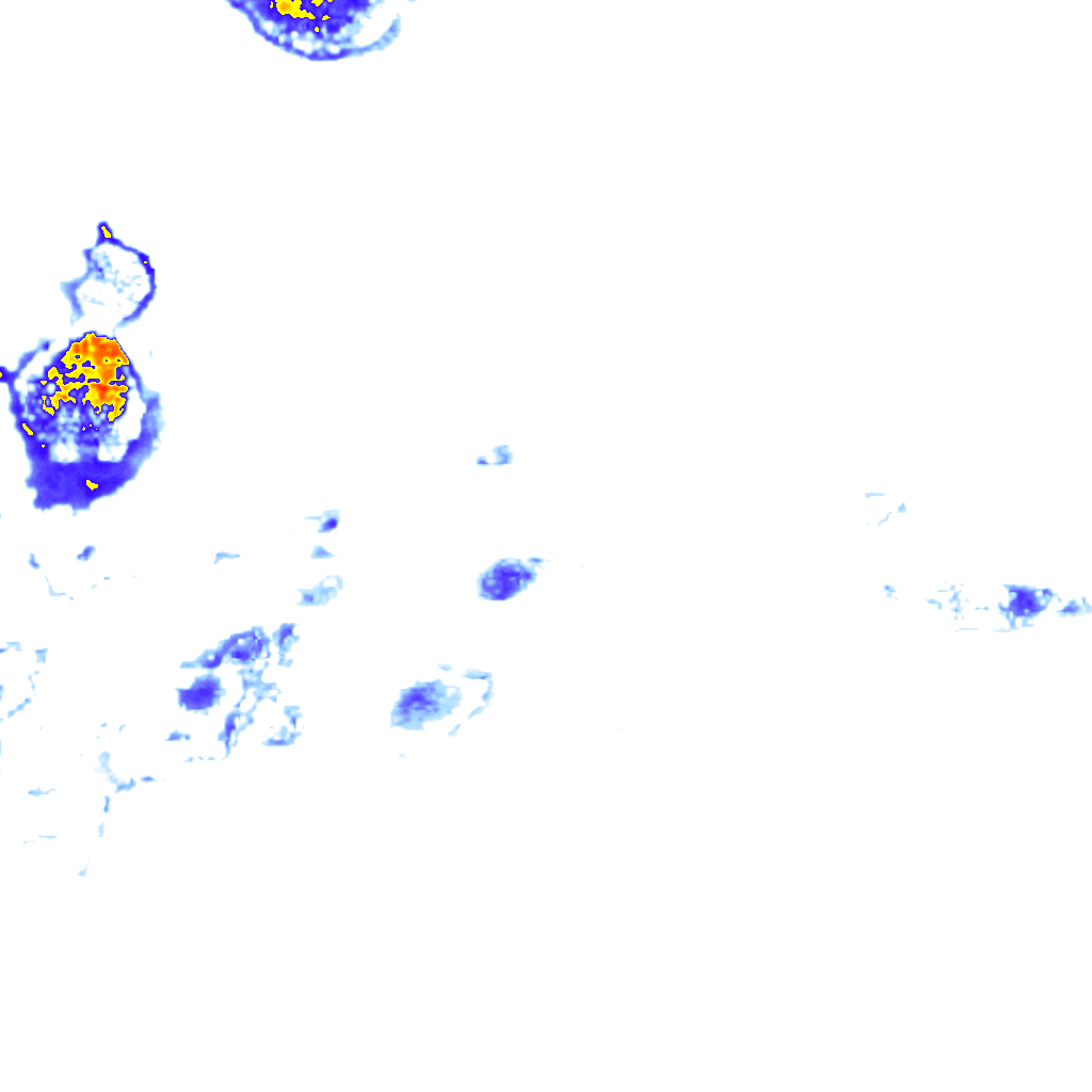 rainLayer