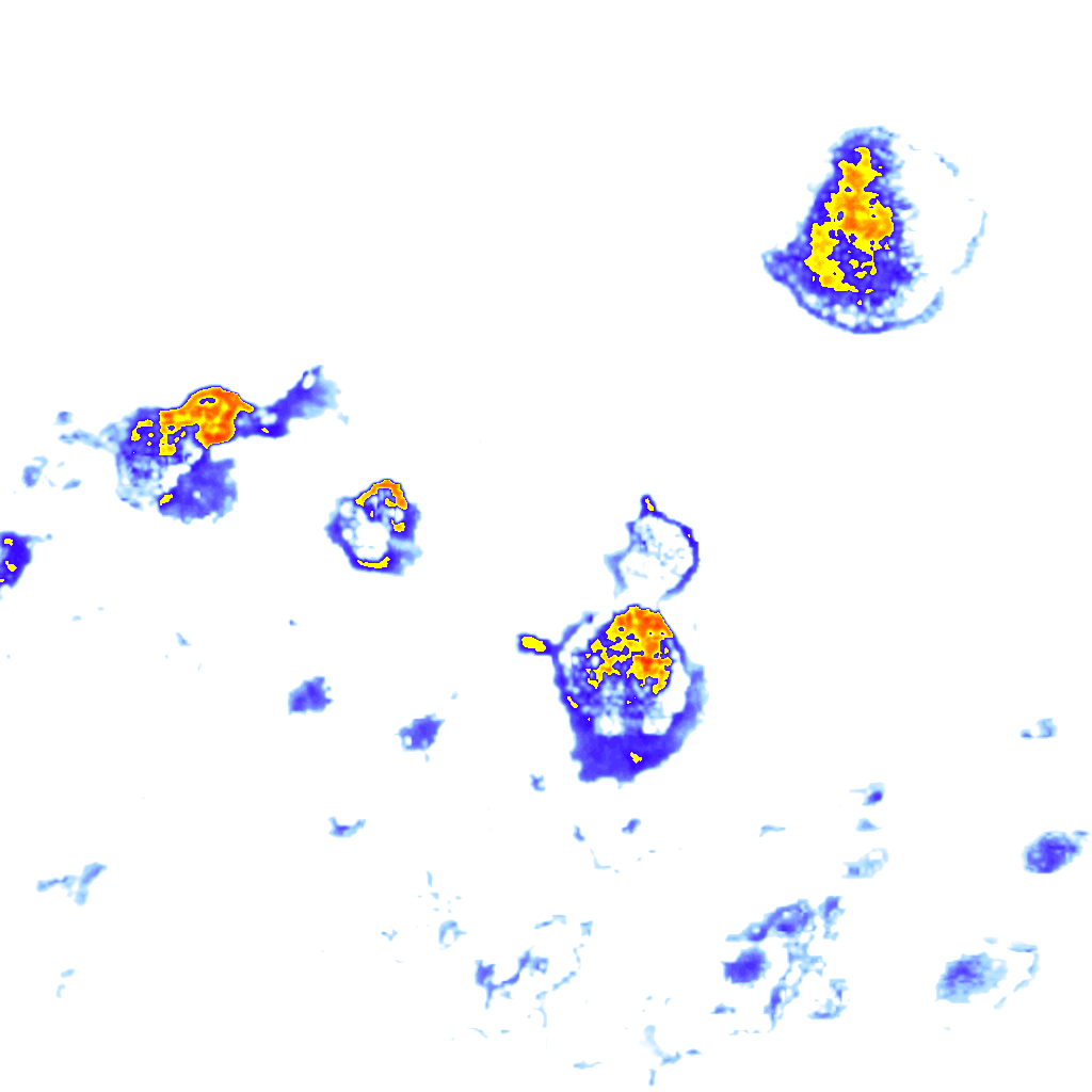 rainLayer