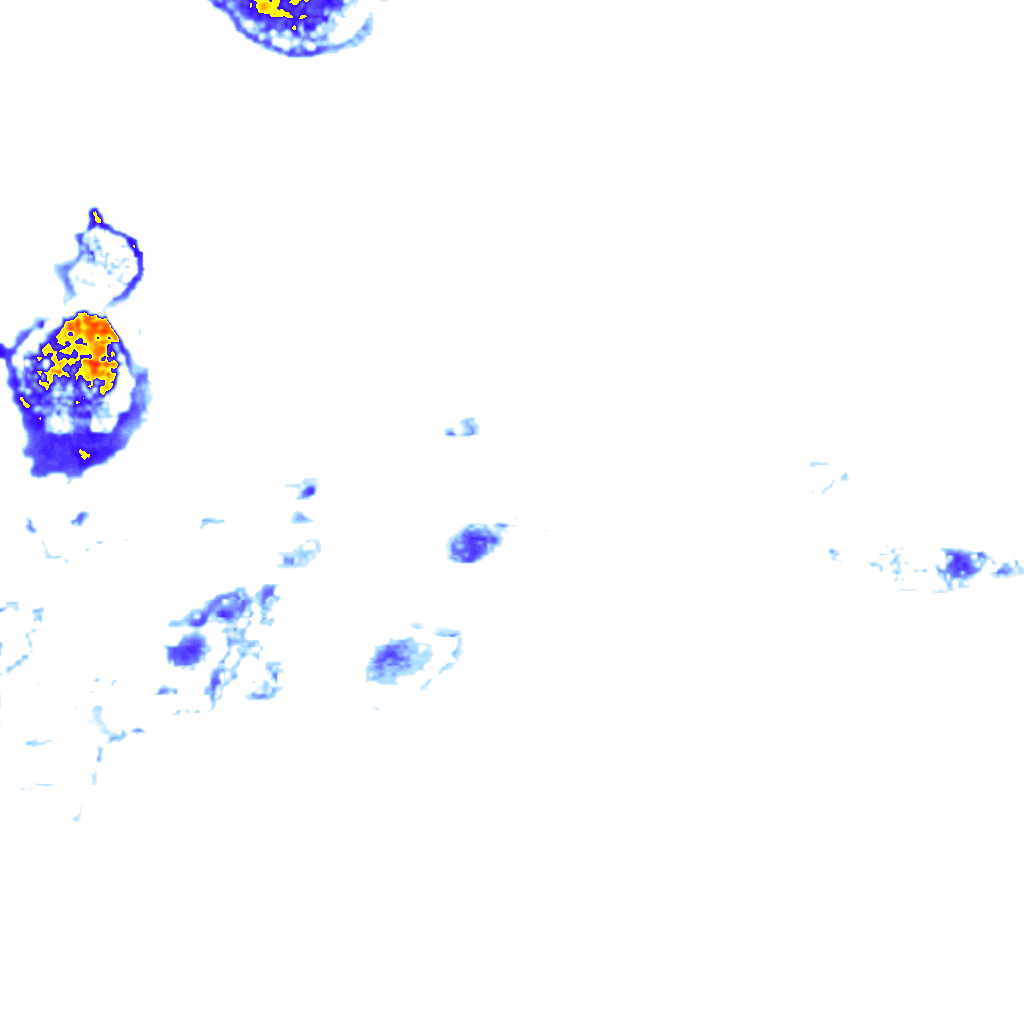 rainLayer