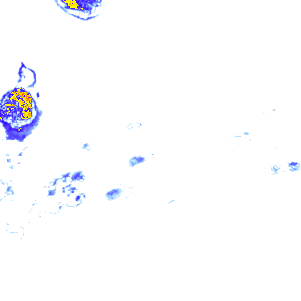 Image Layer