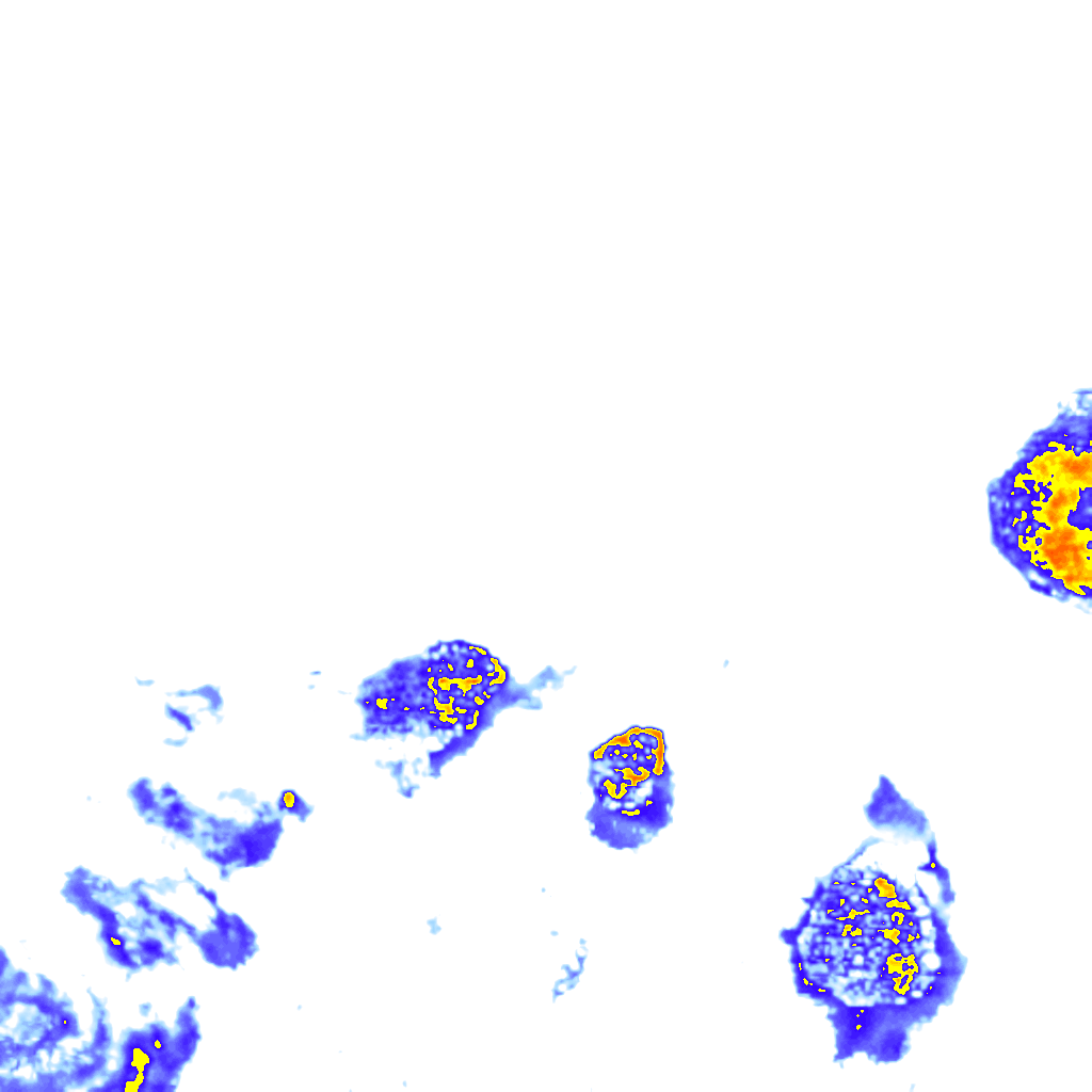 rainLayer