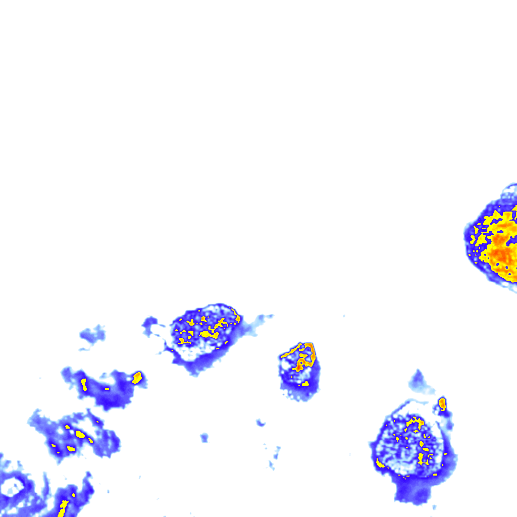 Image Layer