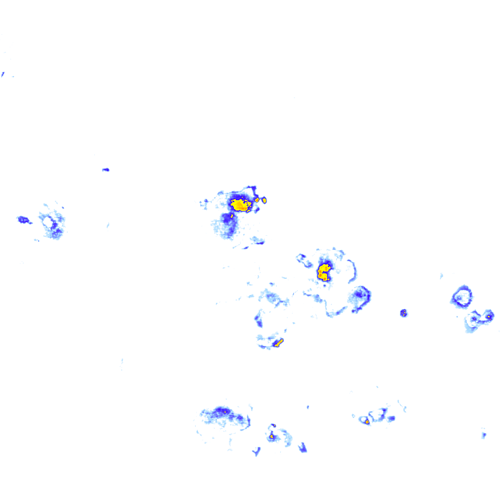 Image Layer