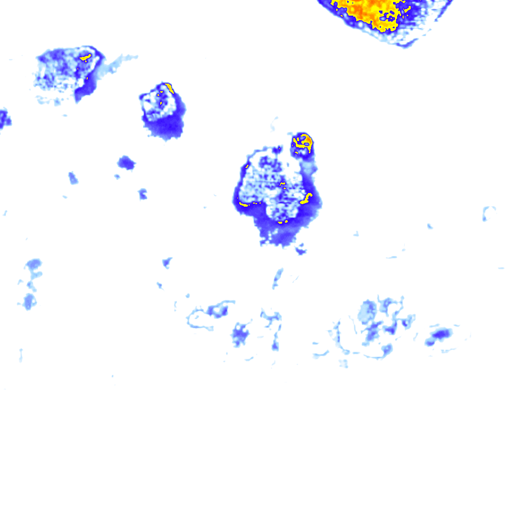 Image Layer