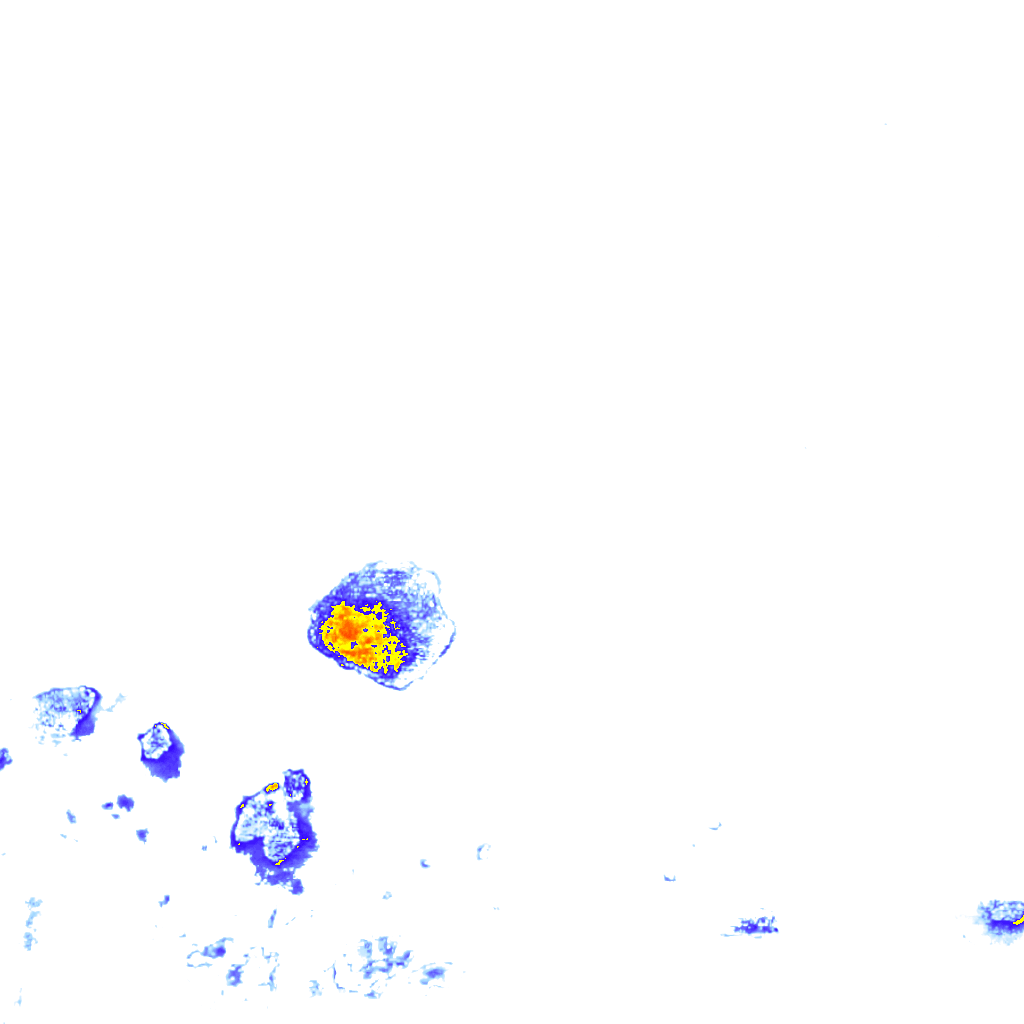 Image Layer
