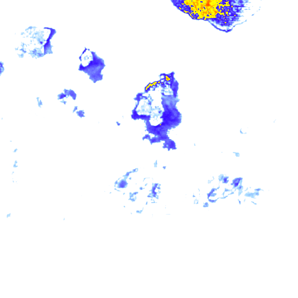 Image Layer