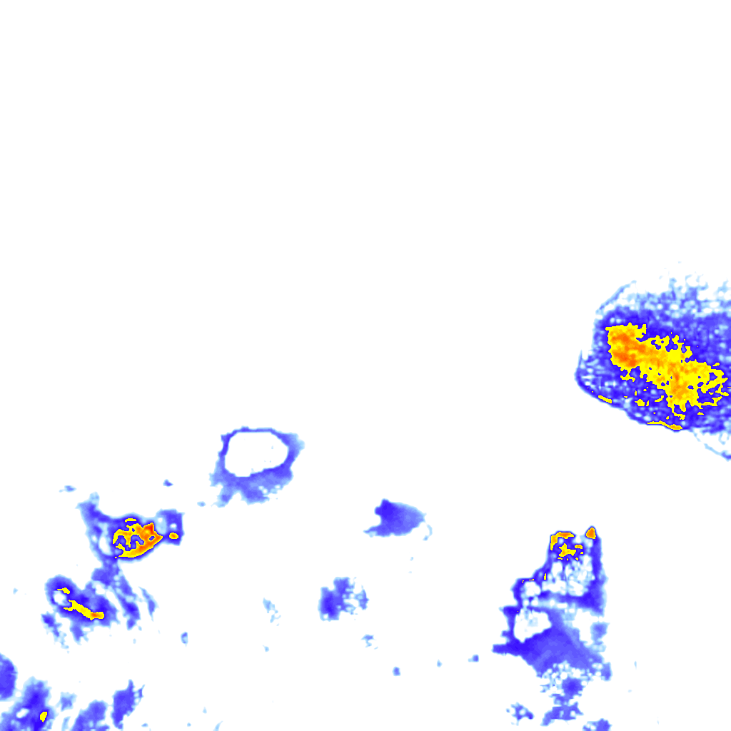 rainLayer
