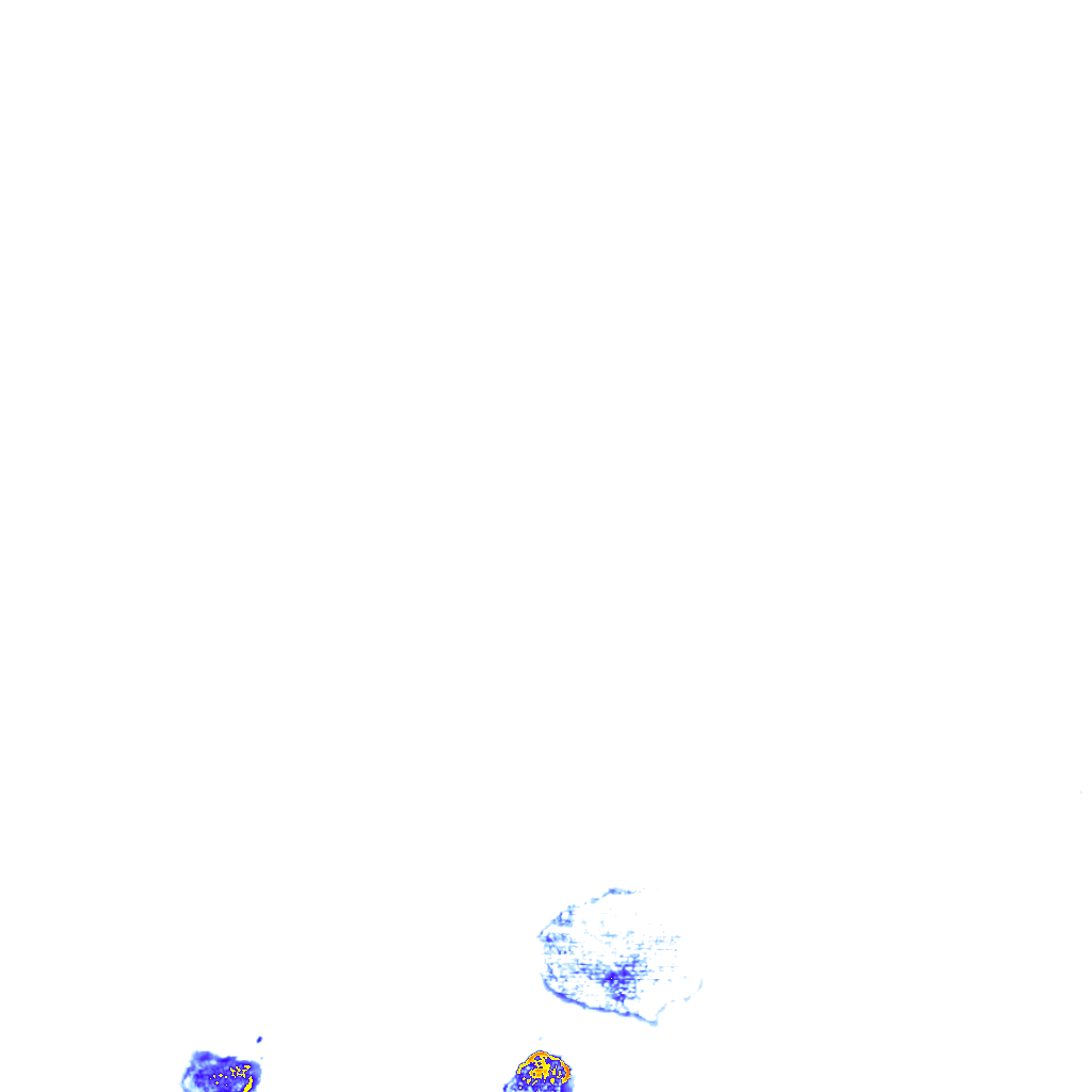rainLayer