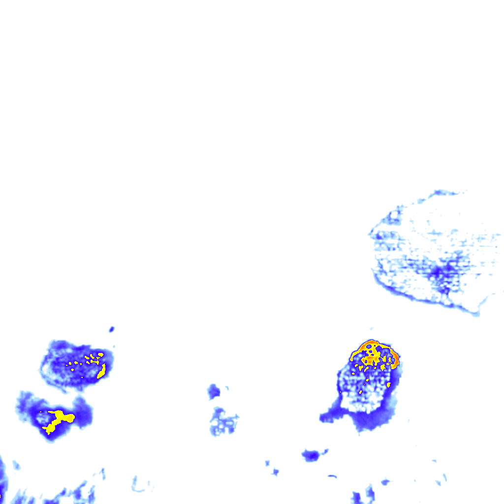 rainLayer