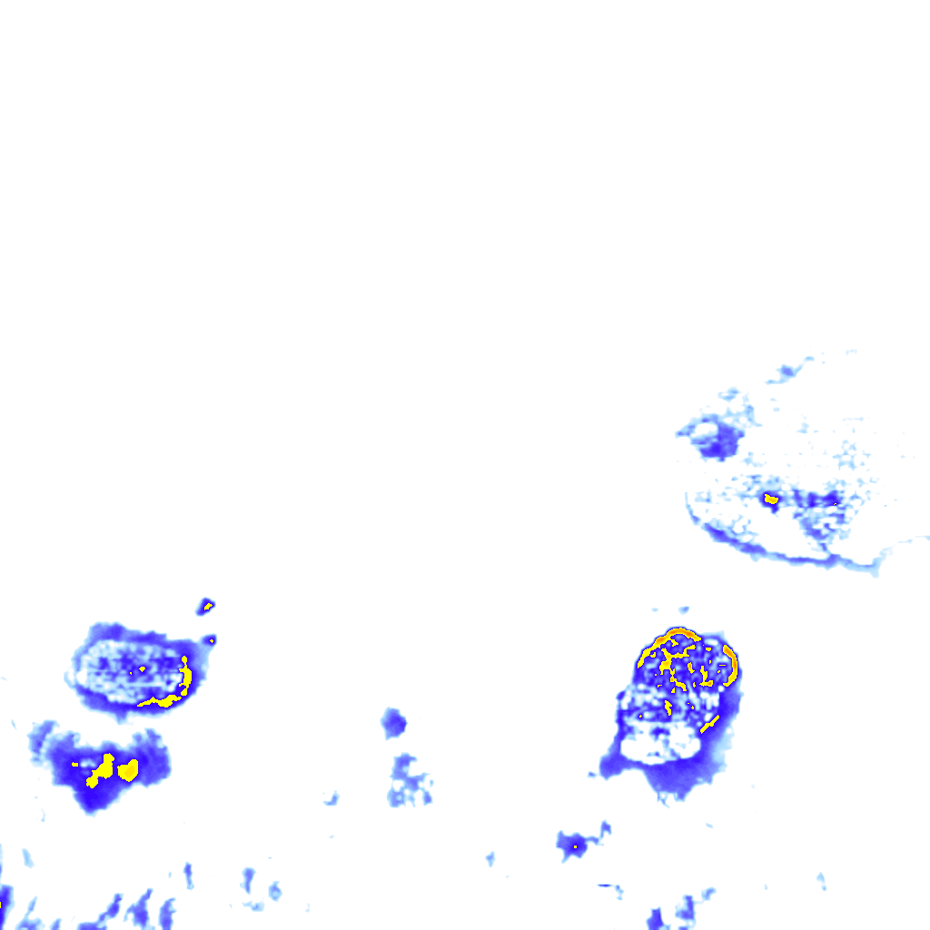 Image Layer