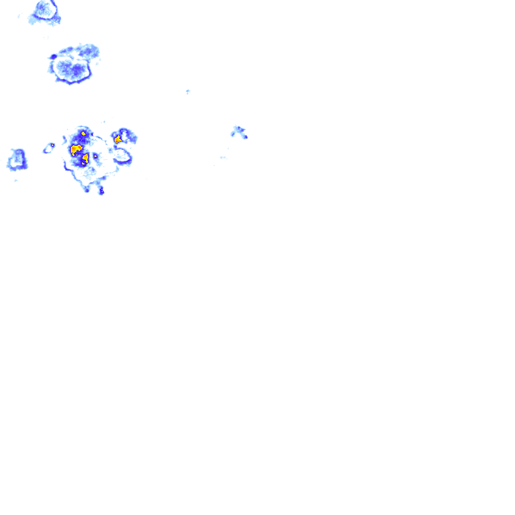 rainLayer
