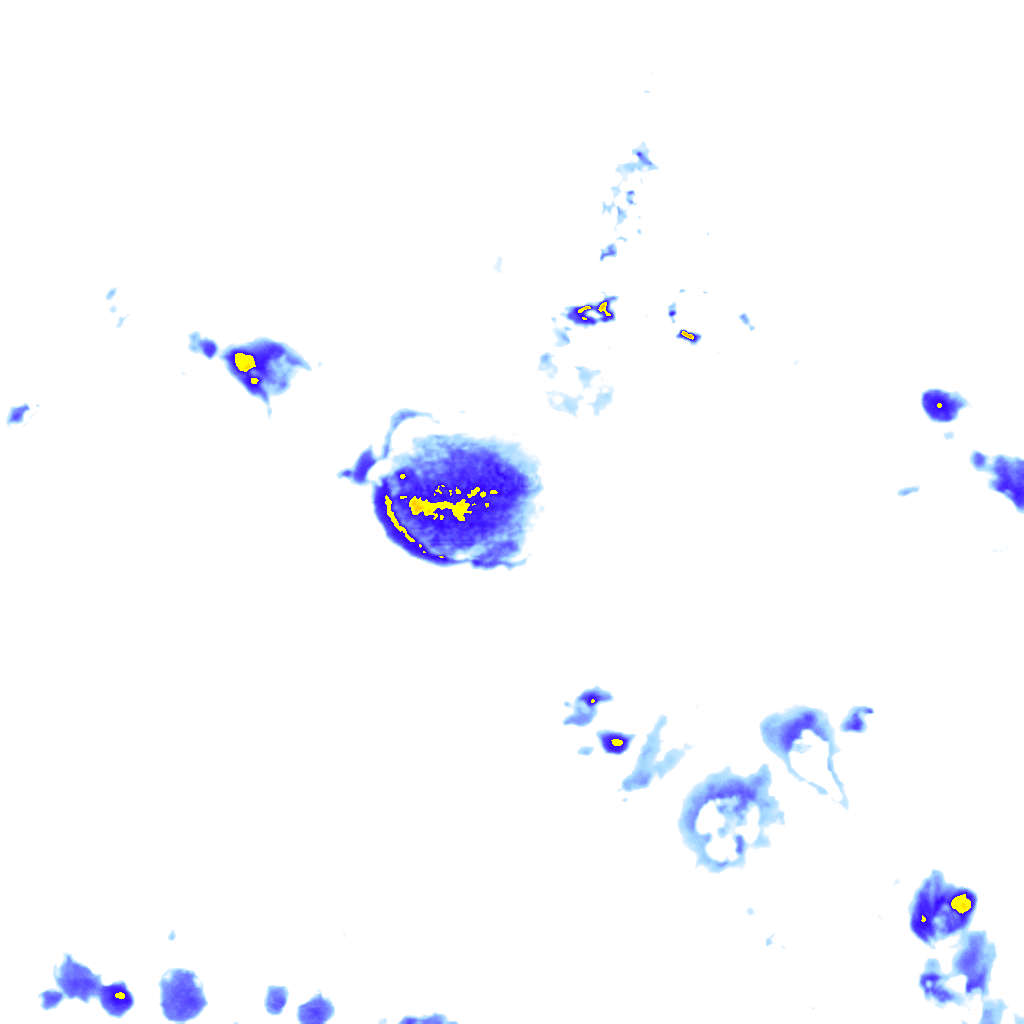rainLayer