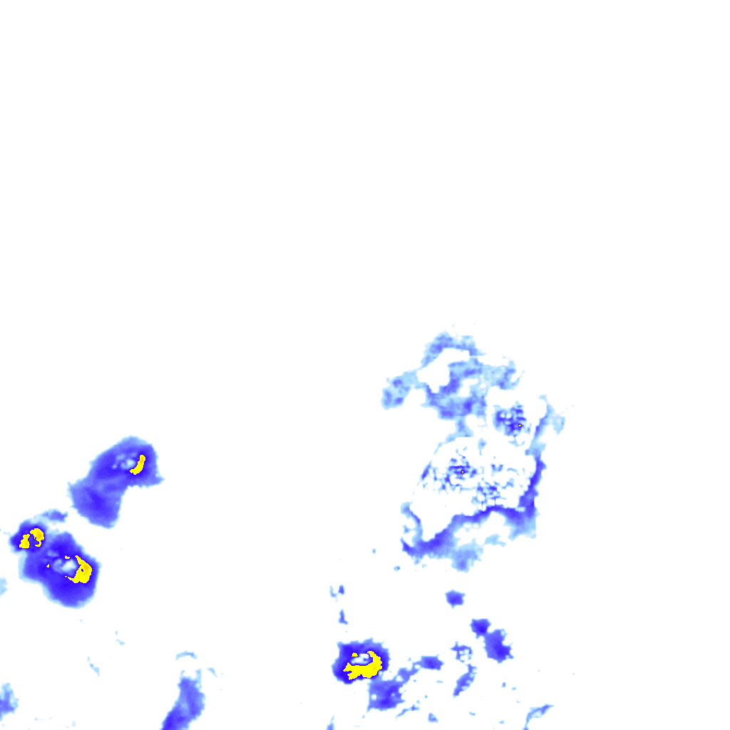 rainLayer