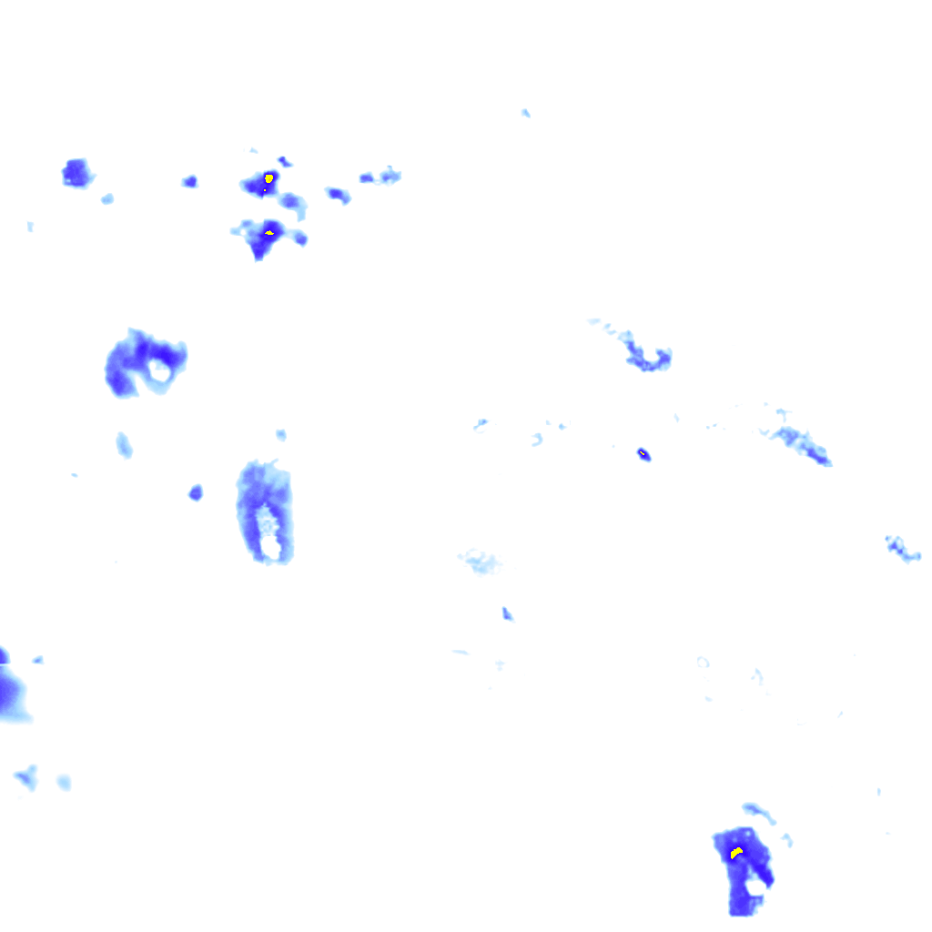 rainLayer