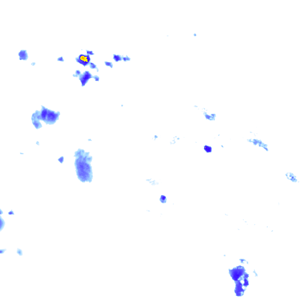 Image Layer