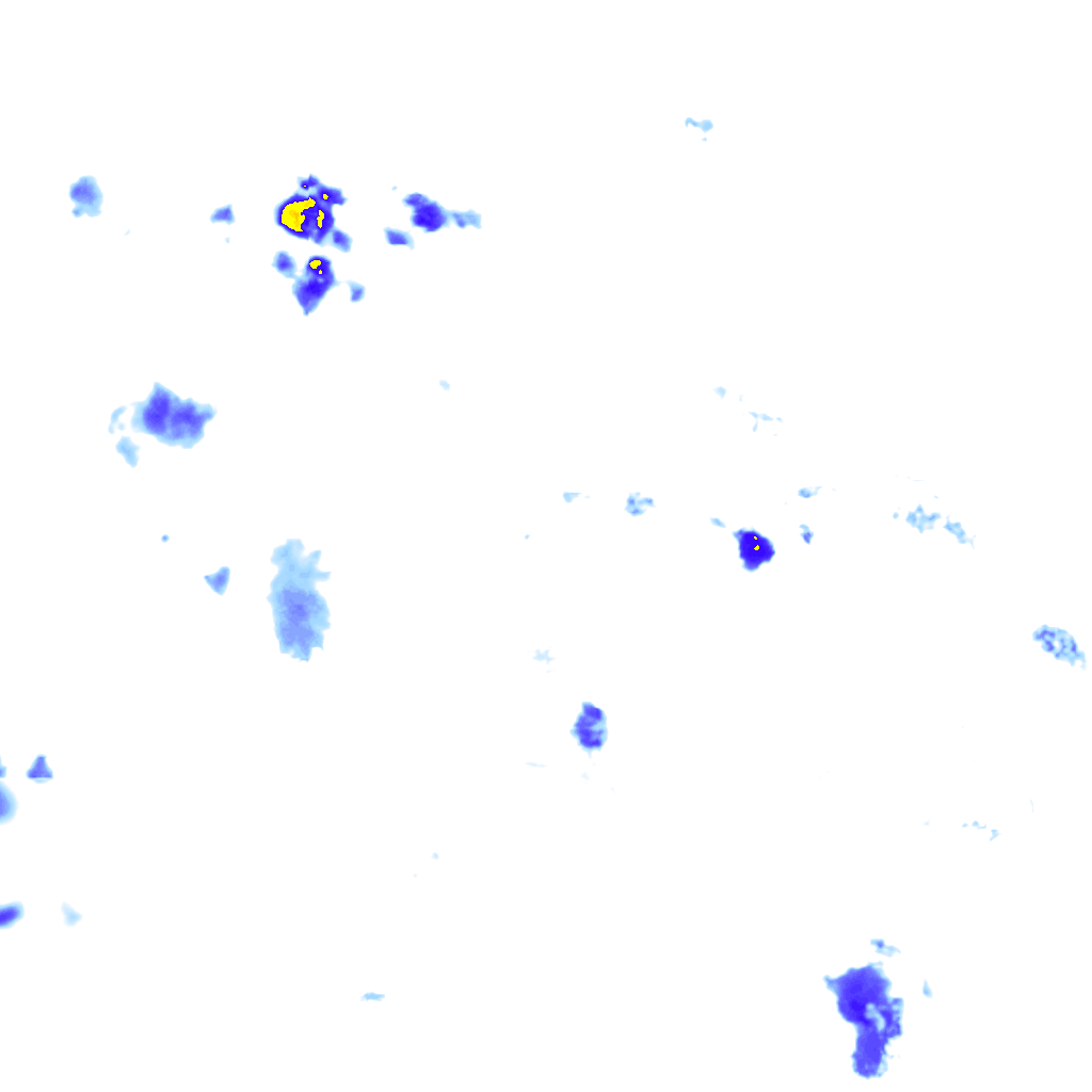 rainLayer