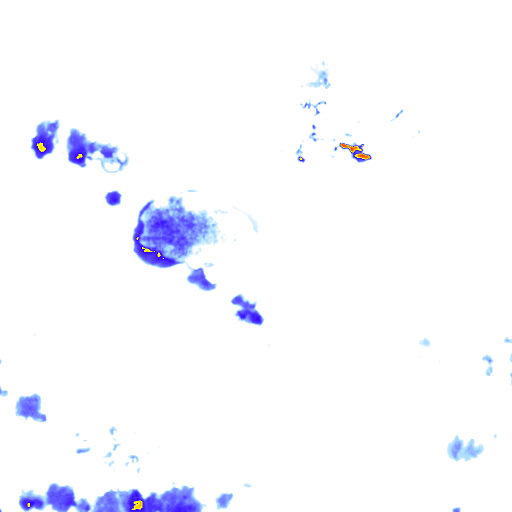 rainLayer