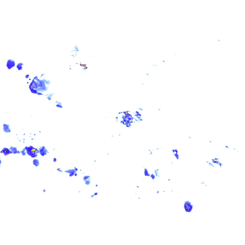 rainLayer