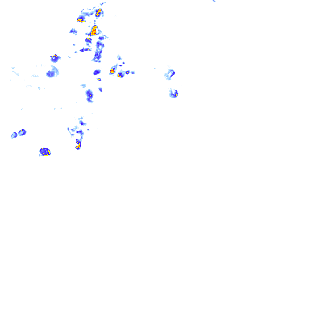rainLayer