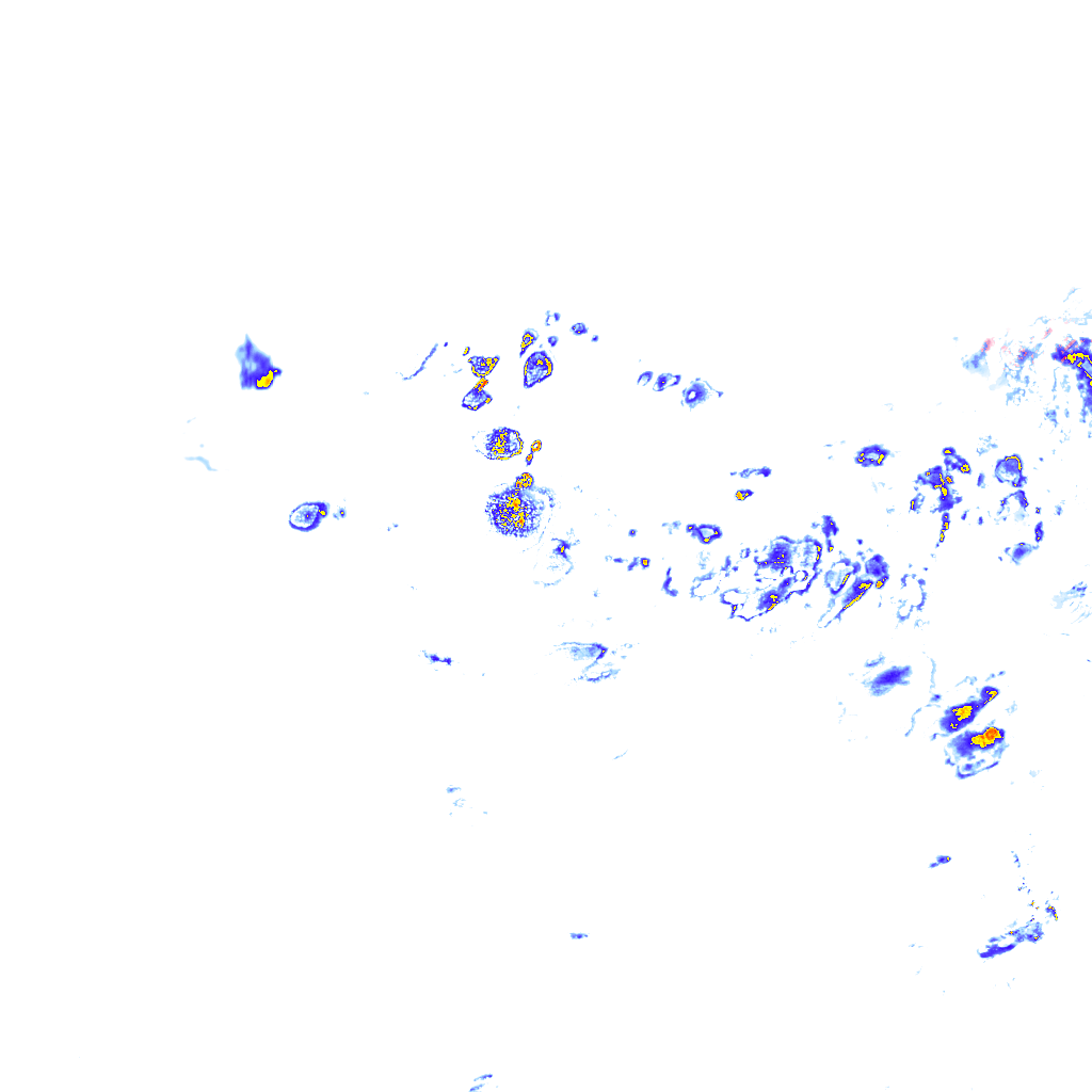 rainLayer