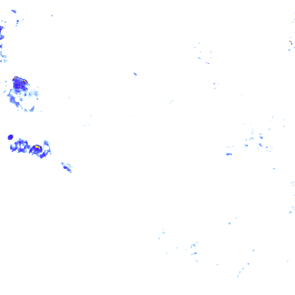 rainLayer