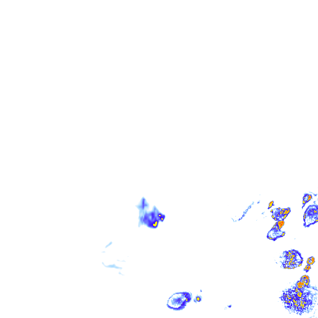 rainLayer