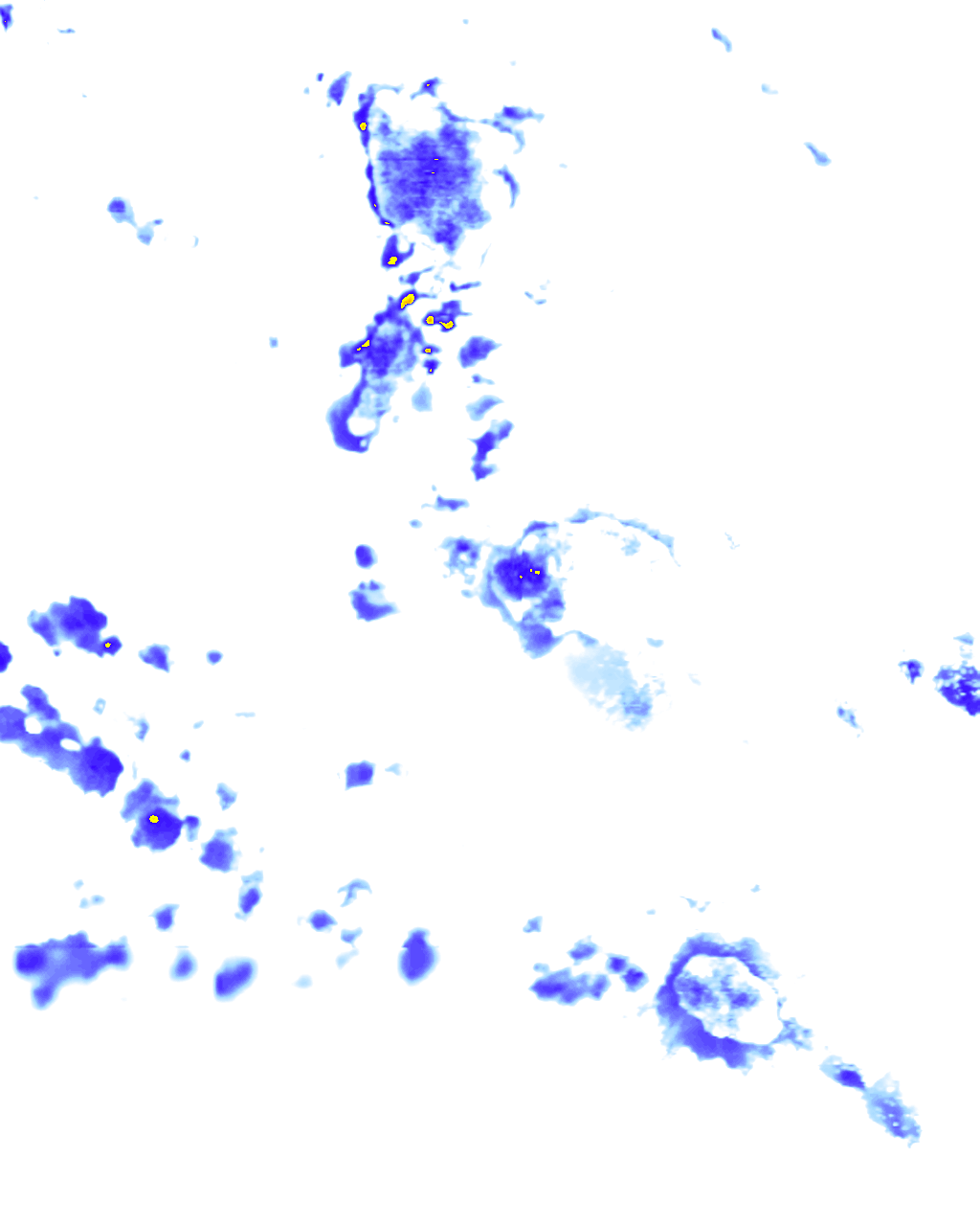 Image Layer
