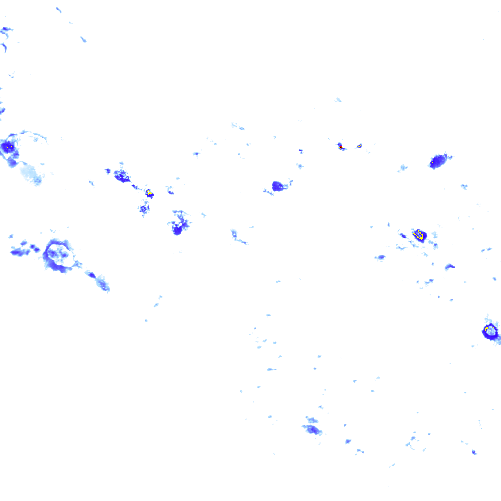 rainLayer
