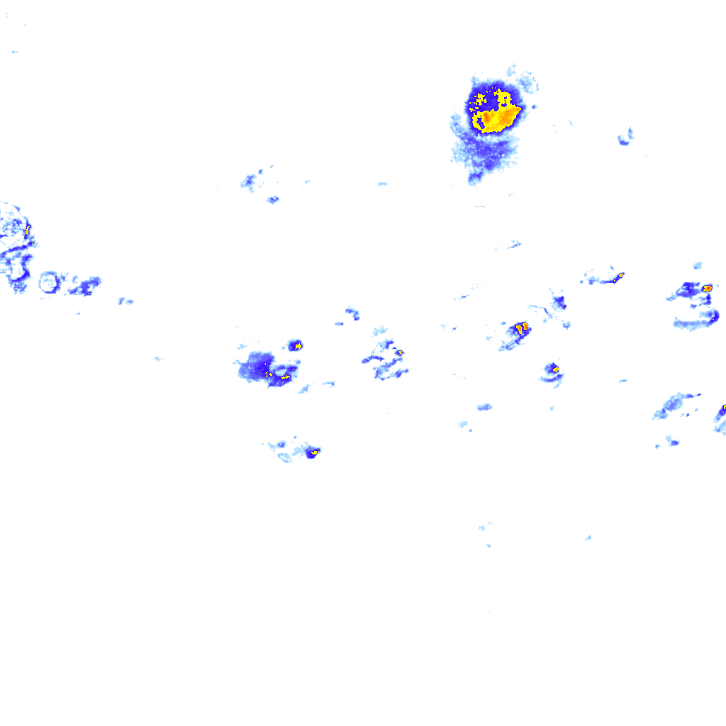 rainLayer