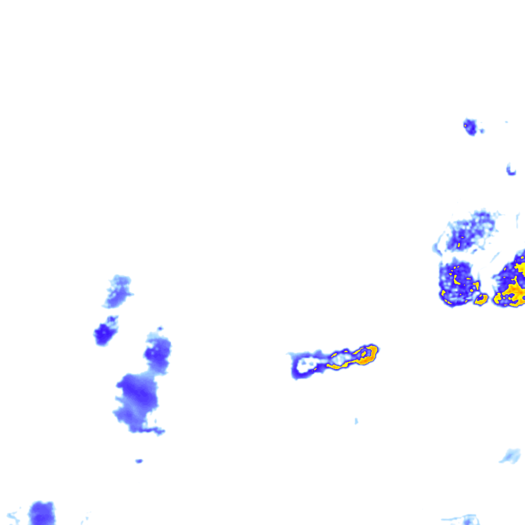 rainLayer