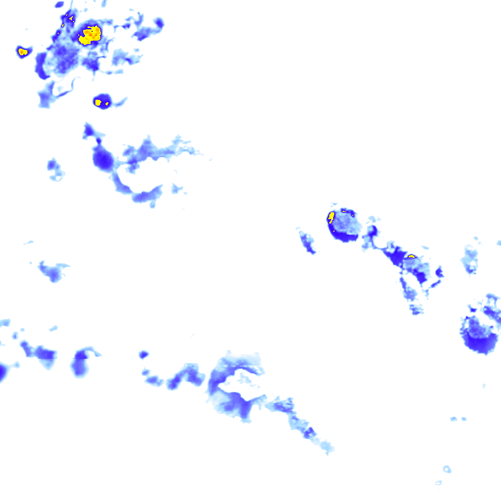 rainLayer