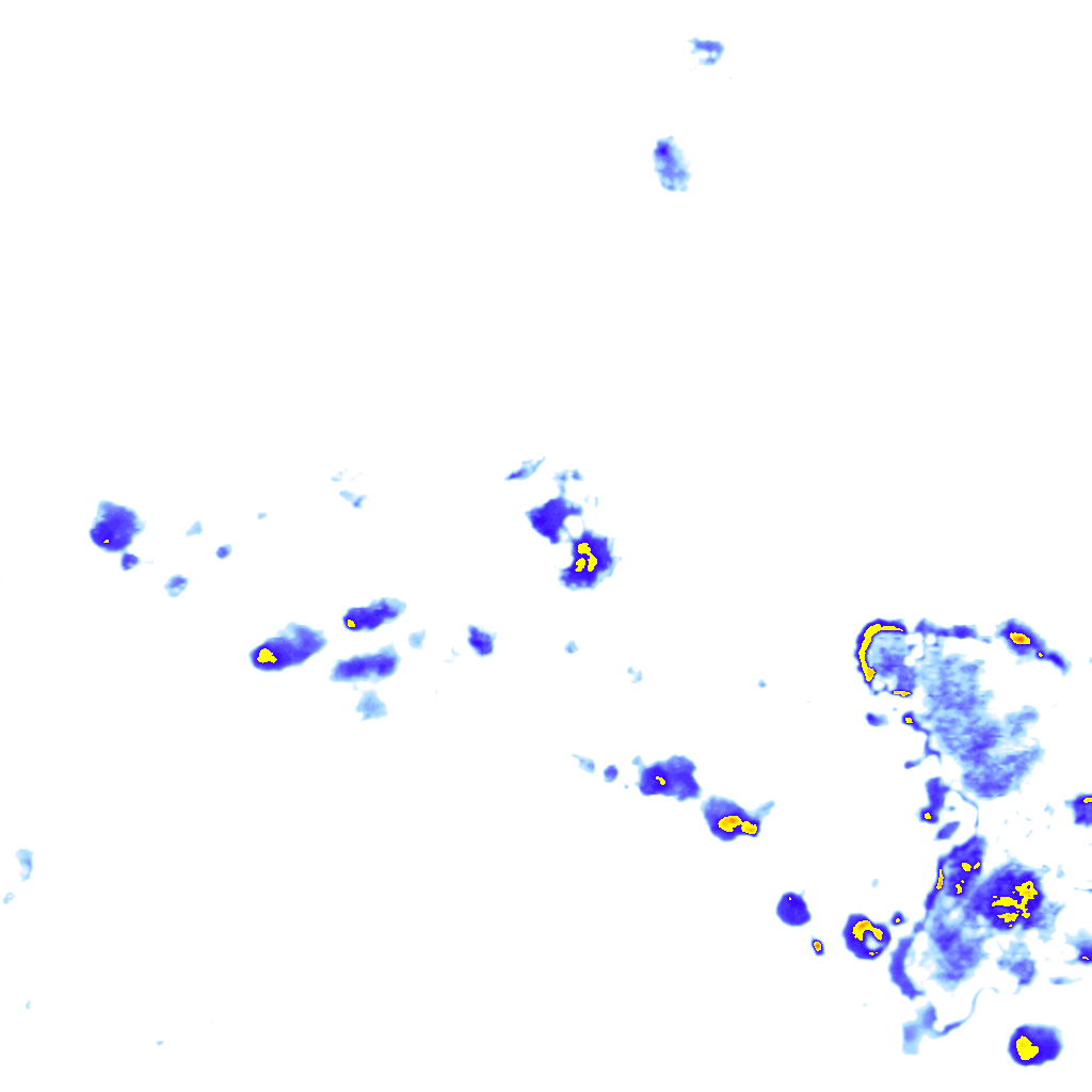 rainLayer