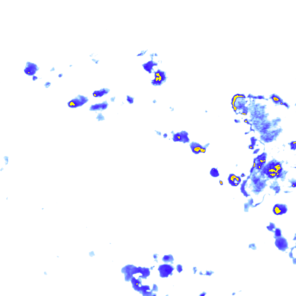 rainLayer