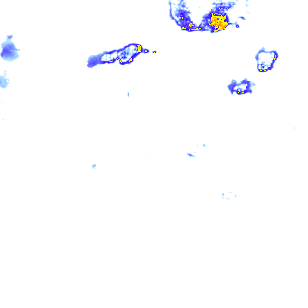 rainLayer