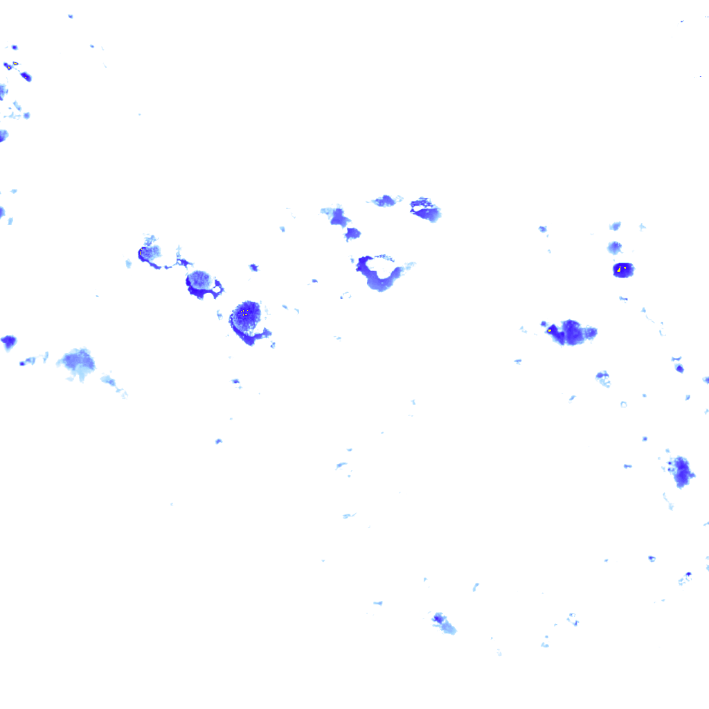 rainLayer