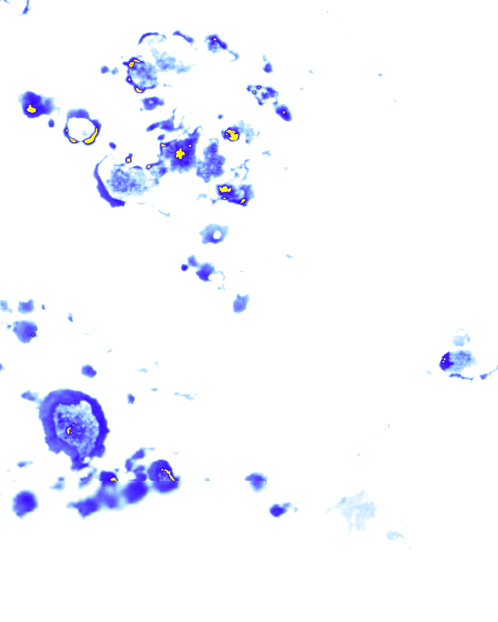 rainLayer