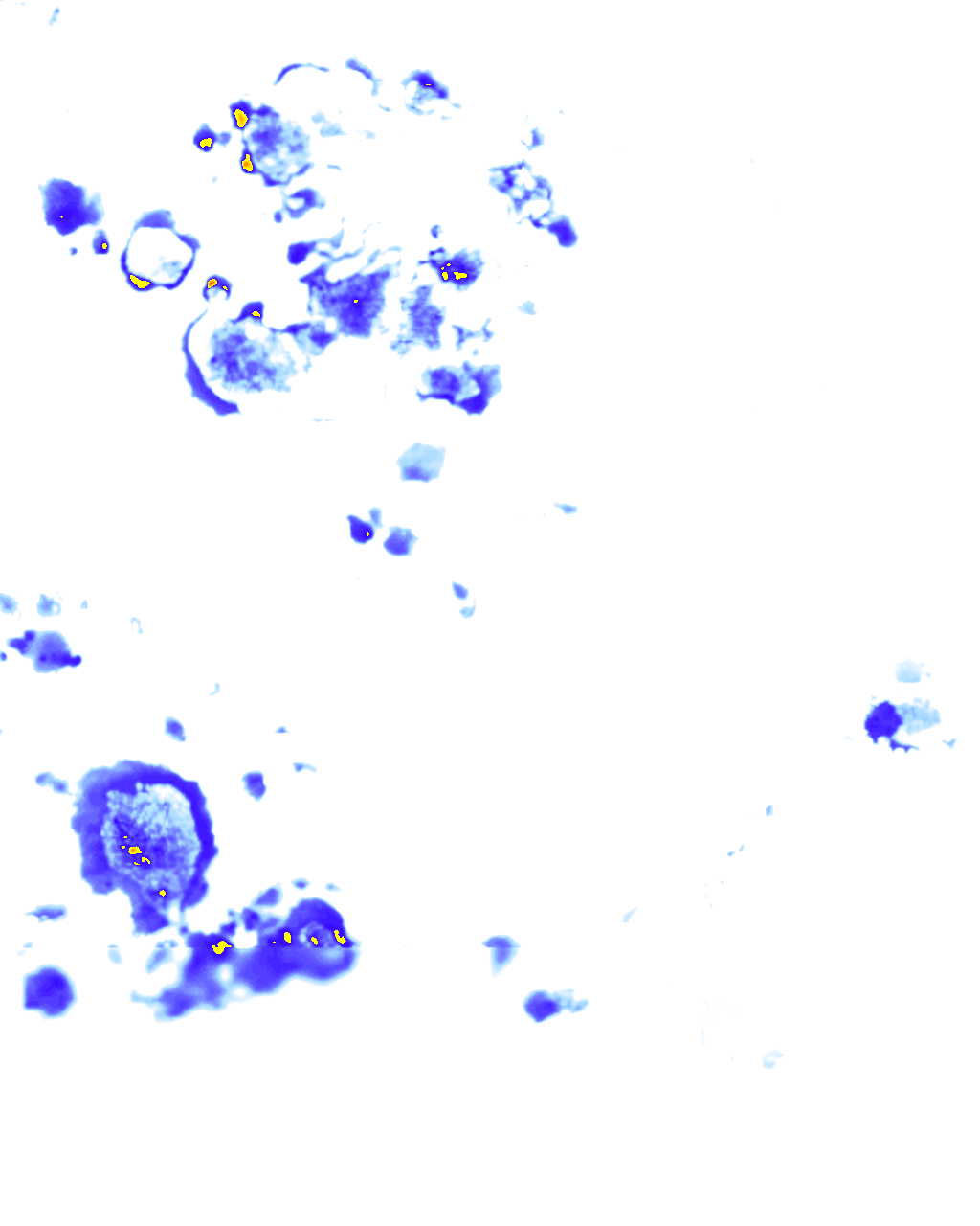 Image Layer