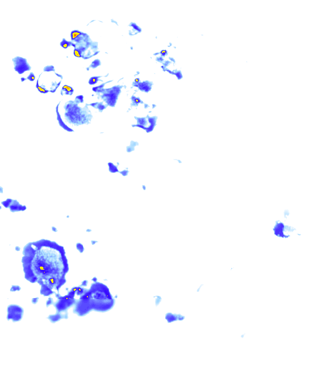 rainLayer