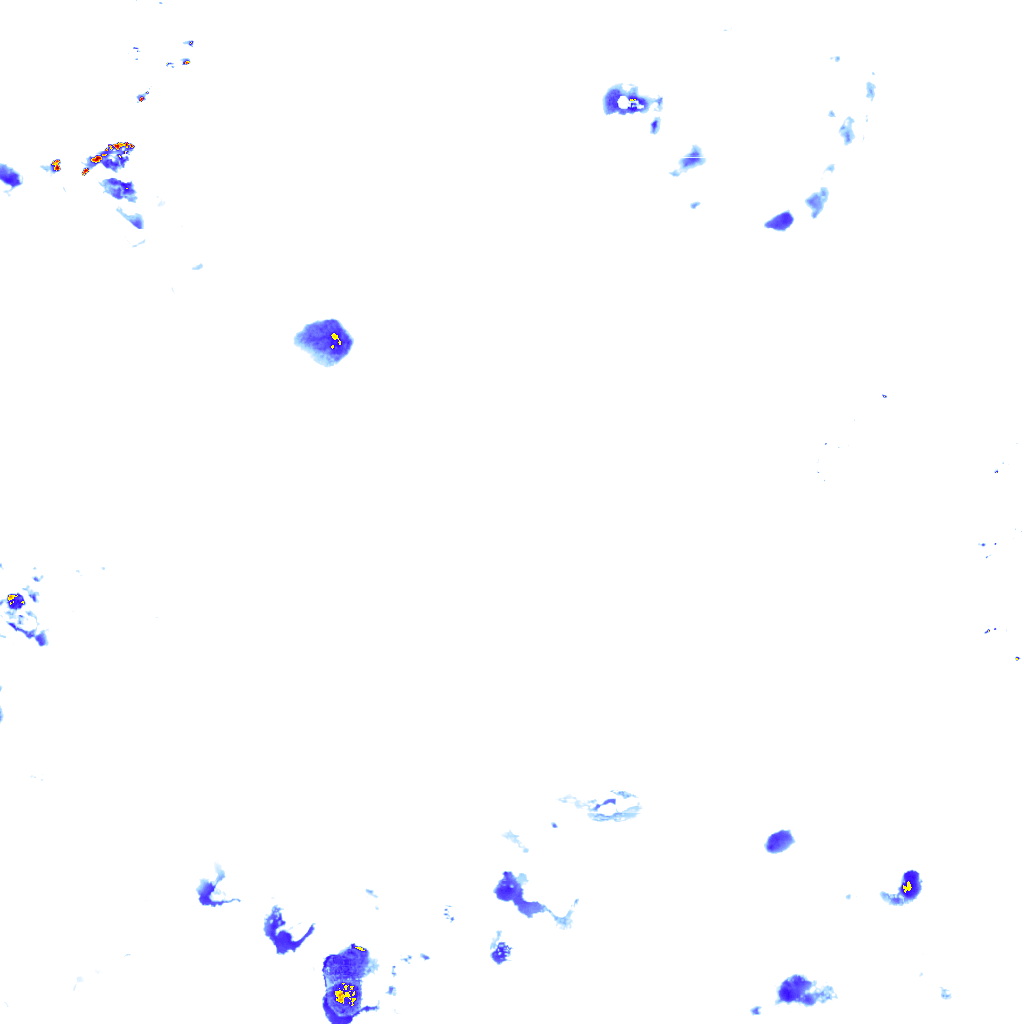 rainLayer