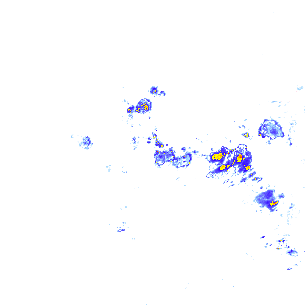 rainLayer