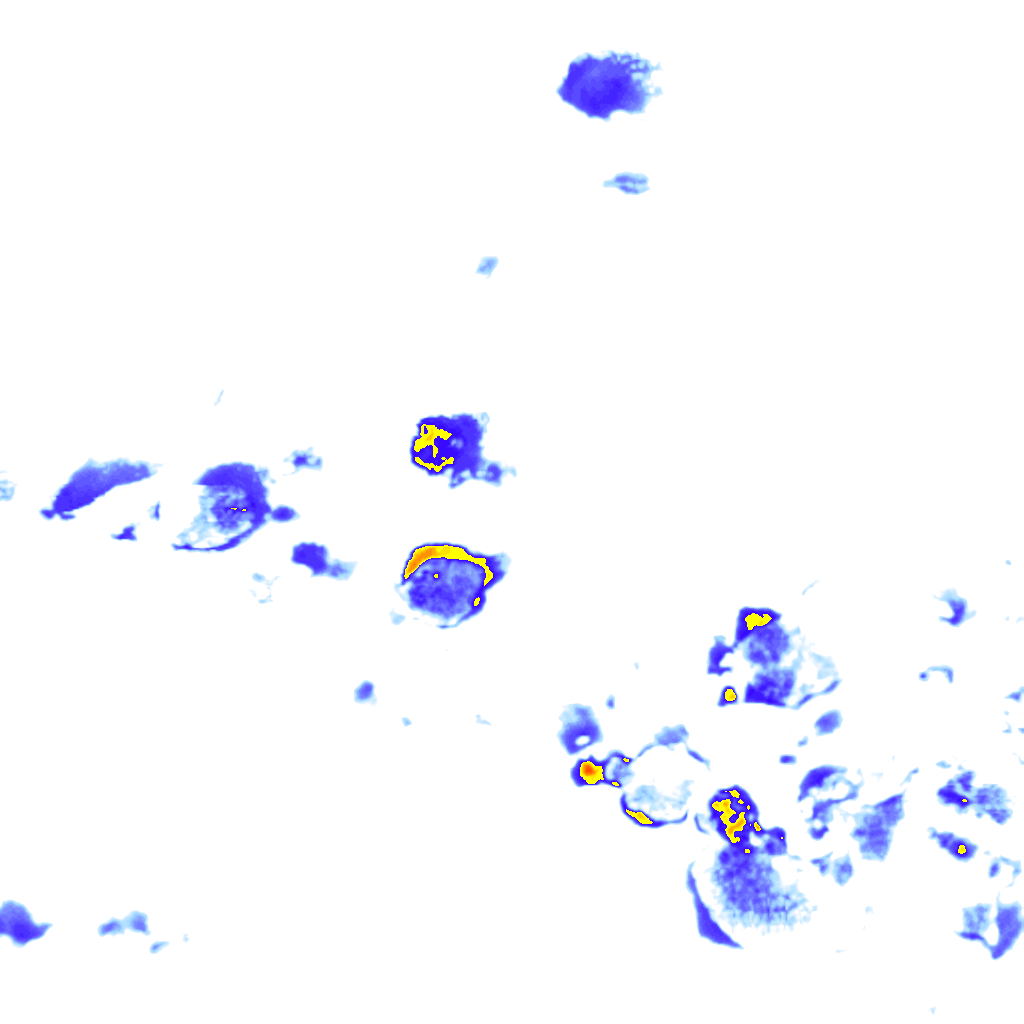Image Layer