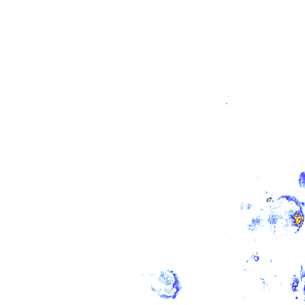 rainLayer
